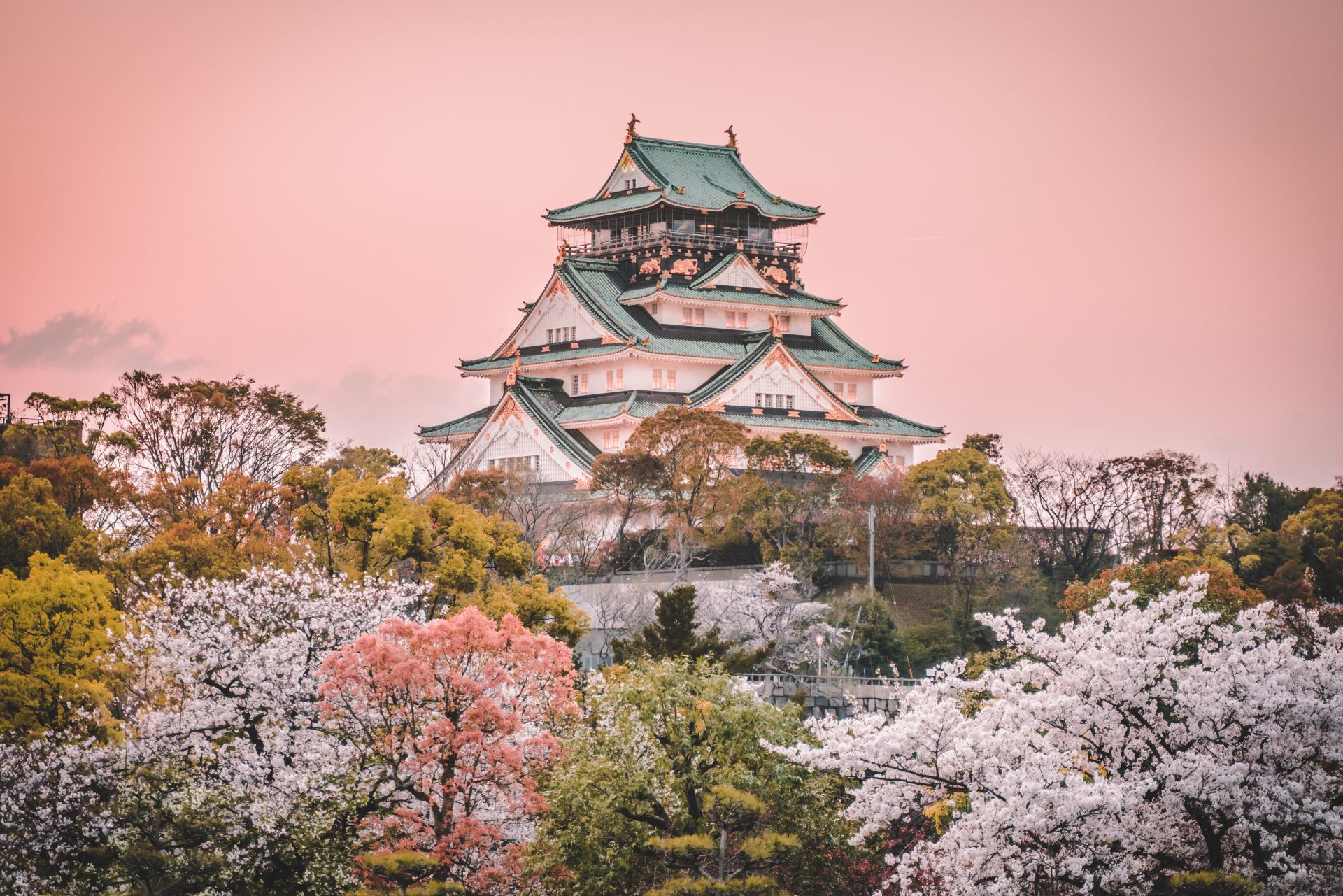 Castillo de Osaka y cerezos en flor, con el monte Fuji de fondo
