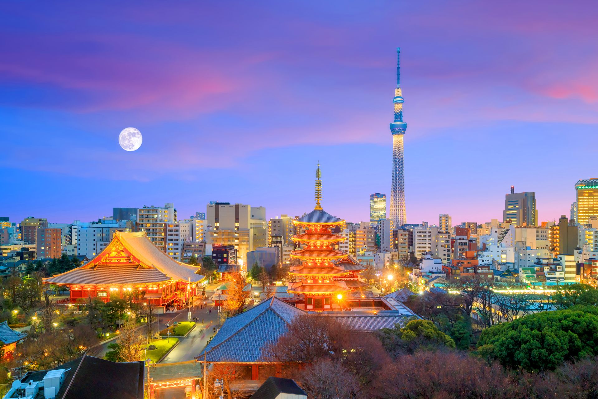 View of the Tokyo skyline with Senso-ji Temple and the Tokyo Sky Tree