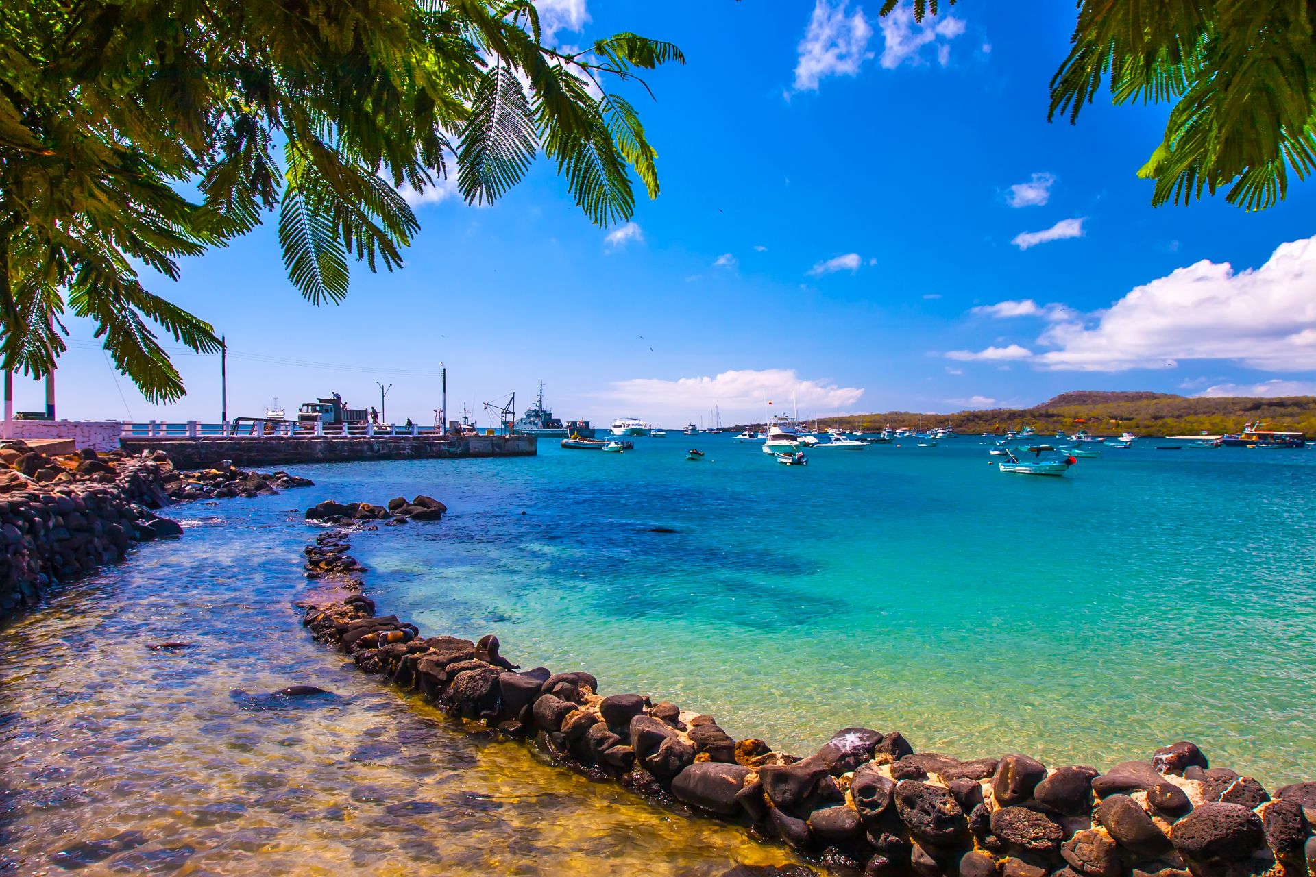 The bay with a pier in the Galapagos Islands